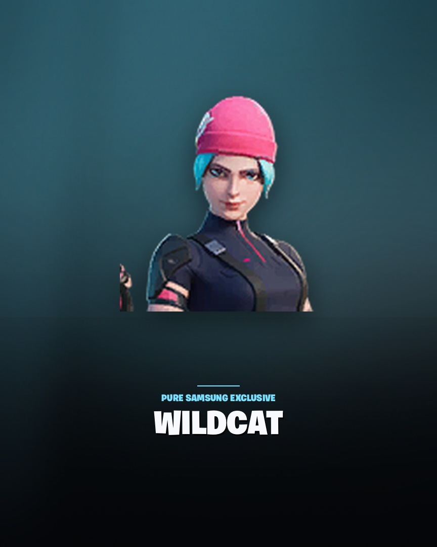 Wildcat
